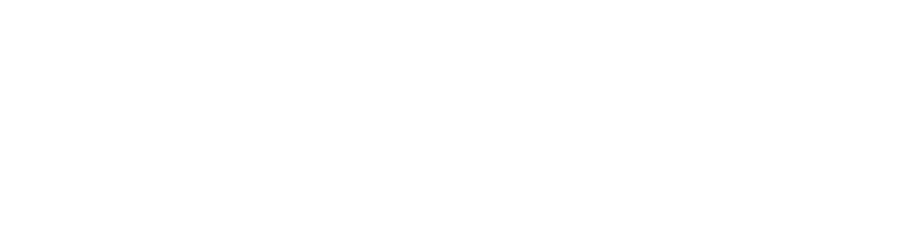 logo netapp white